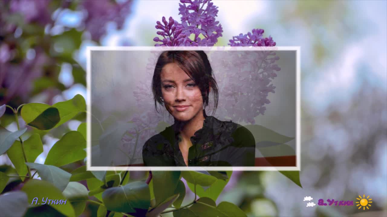 Песня расцвела сирень в моем садочке. Сирень махровая на даче. Расцвела сирень в моем садочке аркадий северный. Слова песни расцвела сирень в моем садочке. Гроздь сирени.