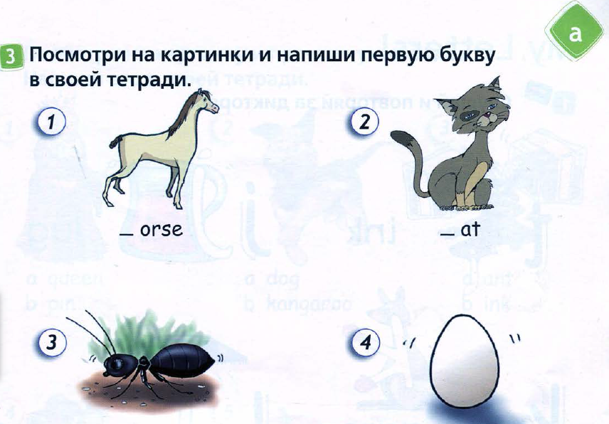 Посмотри на рисунки и скажи что дети делали вчера 4 класс английский язык