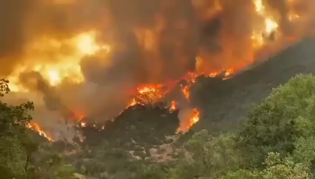 пожар в минусинске. рынок синдика строгино. пожар 2017. синдика пожар 2017. сгорел магазин.