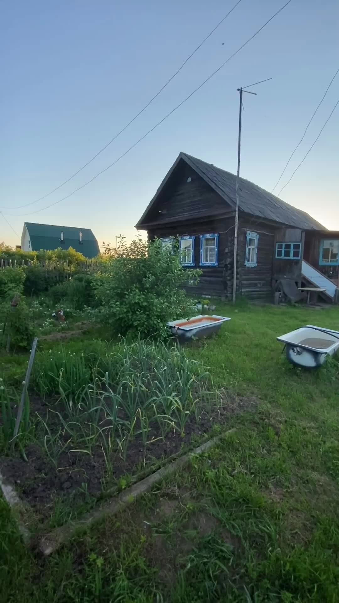 Люблю жизнь и фотографирую | Заглянул к соседям в огород , увидел старый  трактор. Моя прогулка по родной деревне. | Дзен