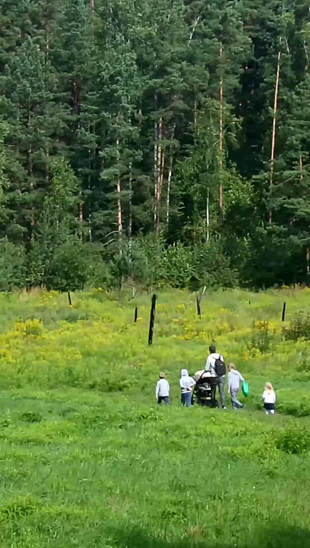 Дом на берегу поля дзен