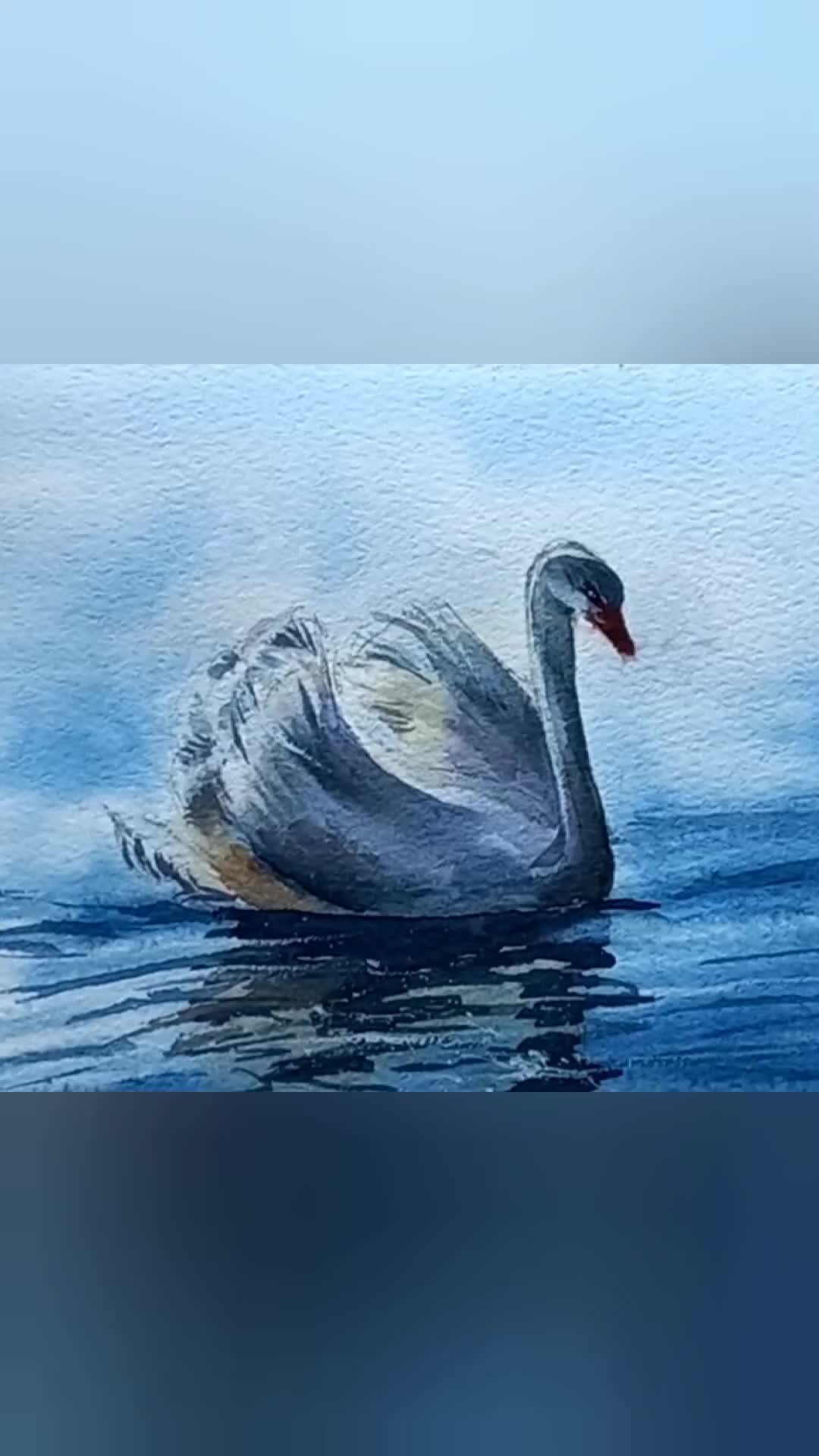 Раскраски Раскраска Лебедь в озере птицы, скачать распечатать раскраски.