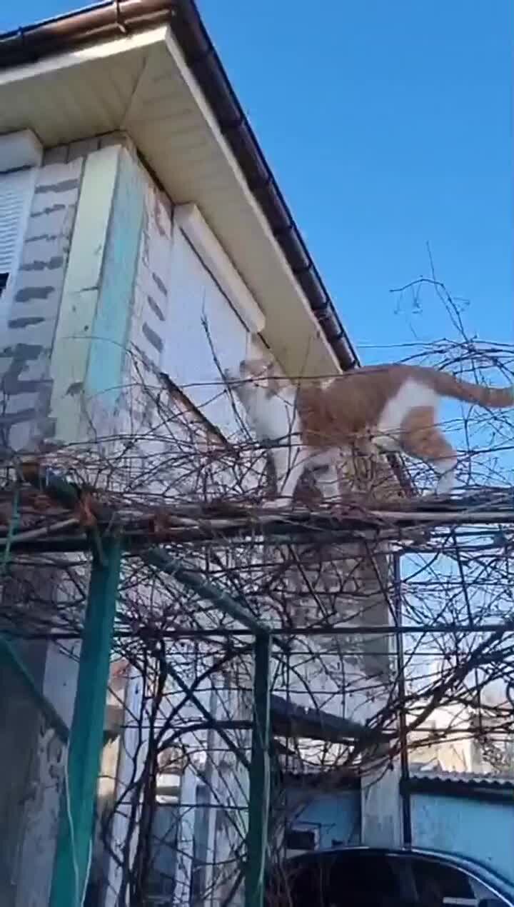 Там где прямо не пролезем мы пройдем бочком