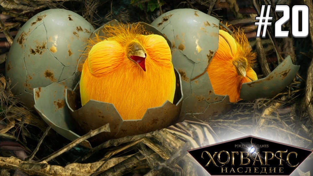 Сниджеты хогвартс. Игра hogwarts legacy. Золотой сниджет гарри поттер. Игра hogwarts legacy. Художник макс костенко фантастические твари.