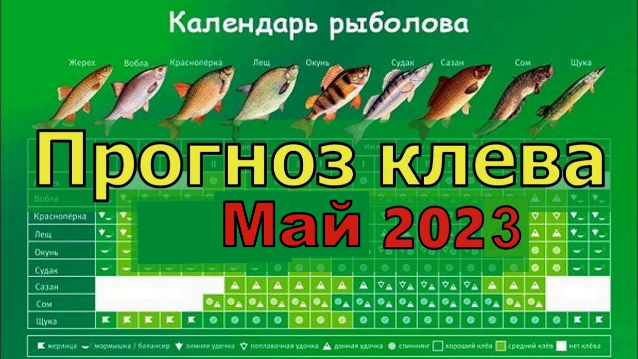 Прогноз клева можайское водохранилище. Календарь рыболова. Рыболовный календарь клёва. Рыболовный календарь на апрель. Календарь рыбака на апрель.