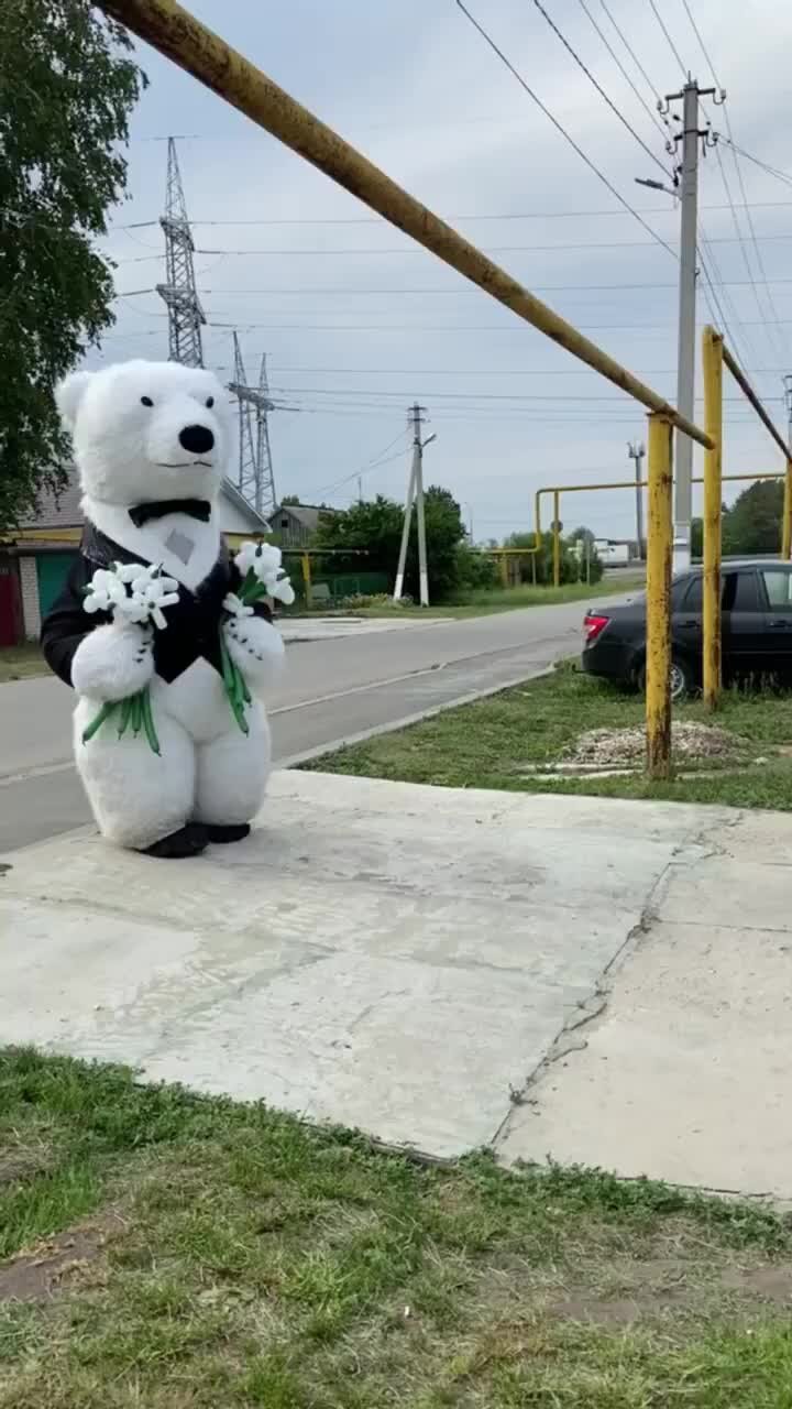 KOLICHMAN | БЕЛОСНЕЖНЫЙ МИШКА БАРНИ В ГОСТЯХ НА ДВОЙНОМ ДНЕ РОЖДЕНИЯ 🎉🥳 ...