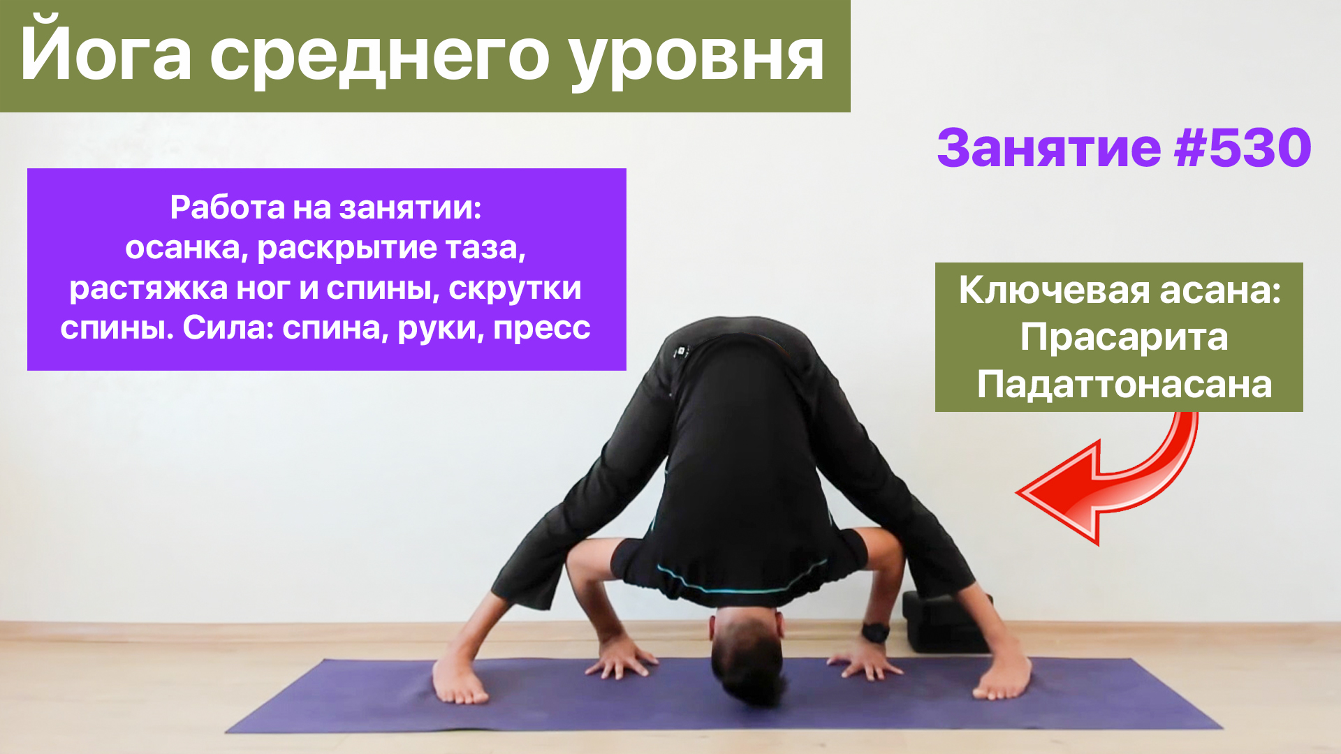 Большой таз и малый таз анатомия. Линия терминалис малого таза. Идеокинезис. Лонная кость таза перелом анатомия. Pelvis imbalance.