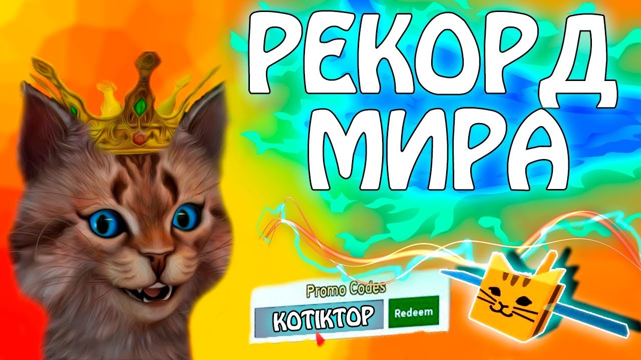 Покажи код кота