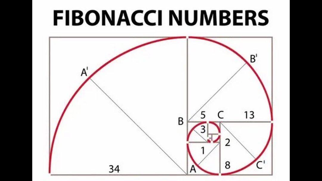 Sistema fibonacci ruleta