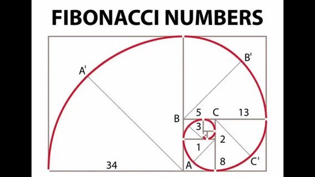 6 числа фибоначчи. Леонардо Пизанский золотое сечение. Золотое сечение Фибоначчи. Леонардо Фибоначчи золотое сечение. Золотое сечение число.