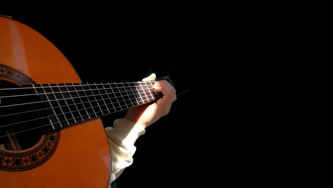 Thinline исполнитель. Ltd ex-360. Алекс тернер 2021. Гитара alex. Esp ltd max-200.