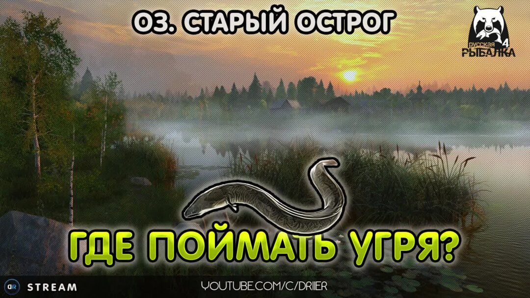 Озеро старый острог на что ловить Где поймать угря на оз. Старый Острог Русская рыбалка 4 Driler Дзен