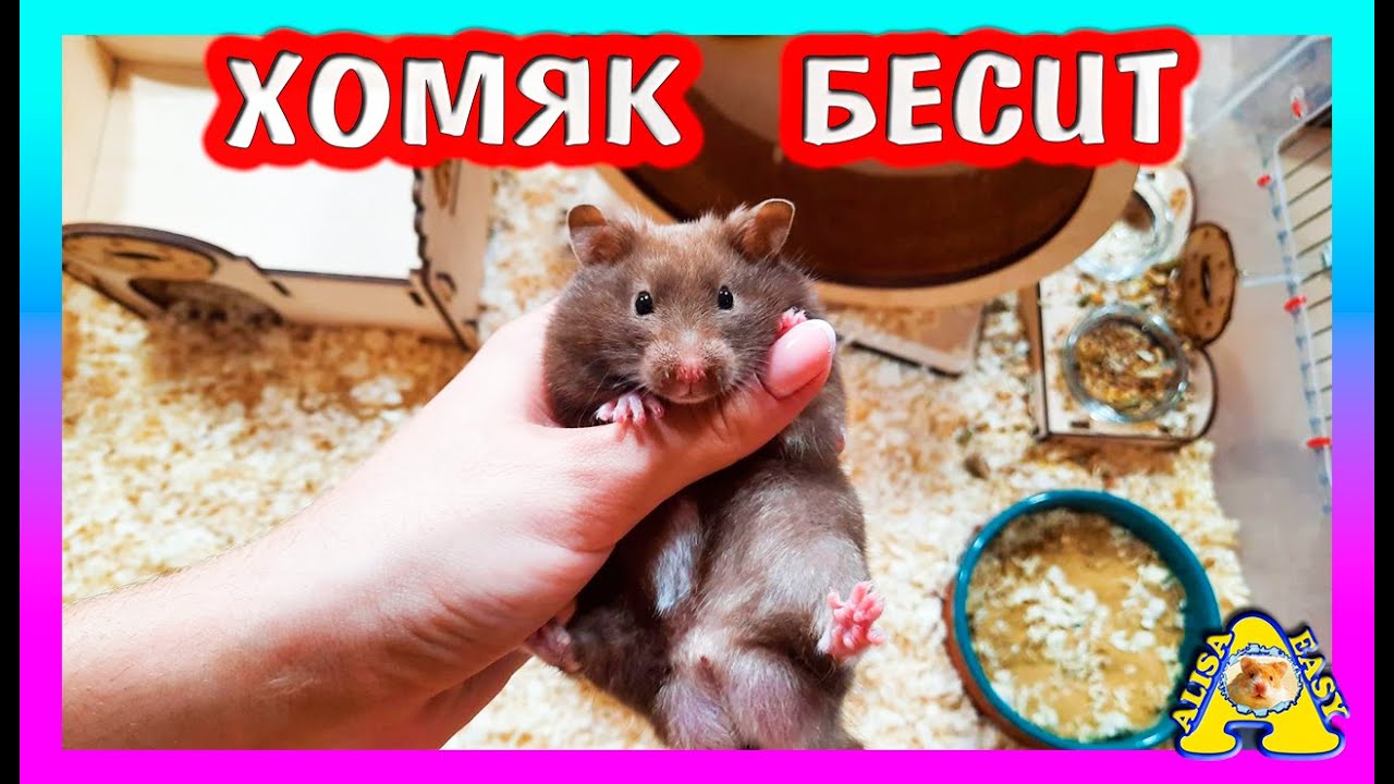 3. Правильное питание