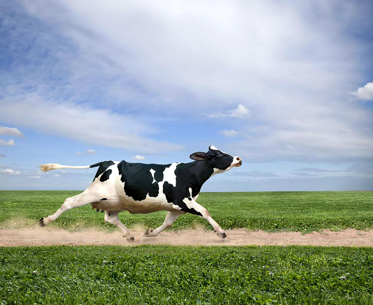 Борьба за свободу