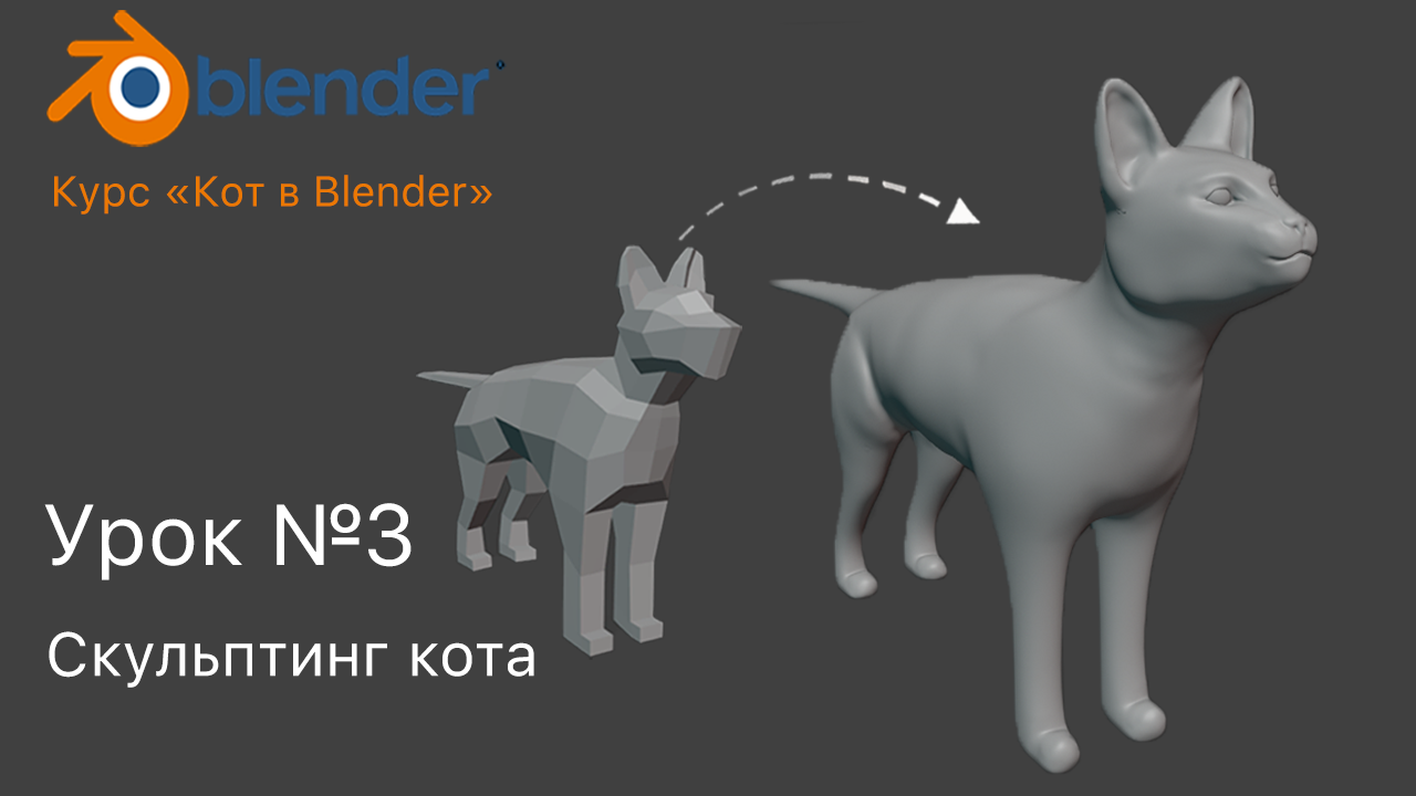 Cat blender video
