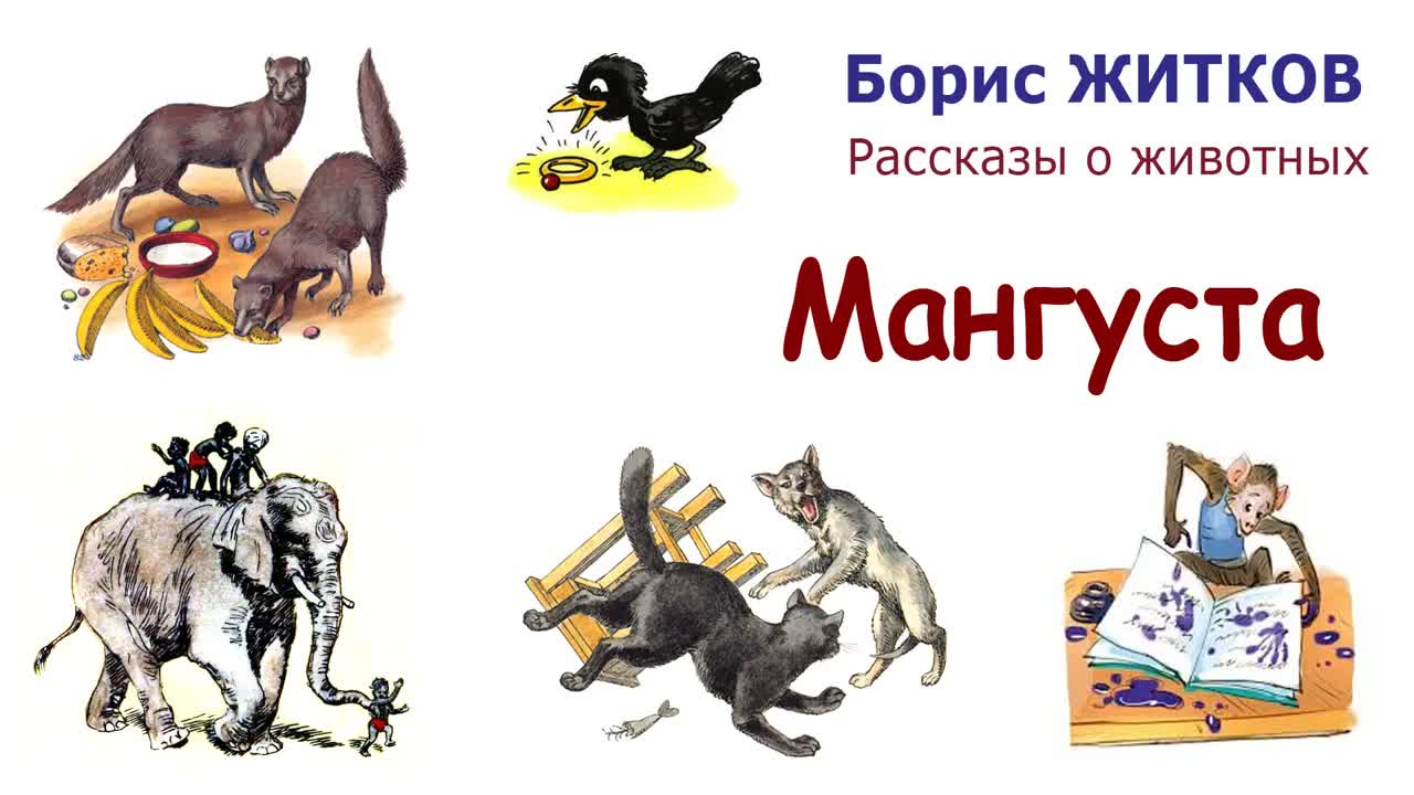 Рассказ б. Борис Житков собака. Житков герои рассказов. Б Житков про животных. Герои рассказов б Житкова для детей.