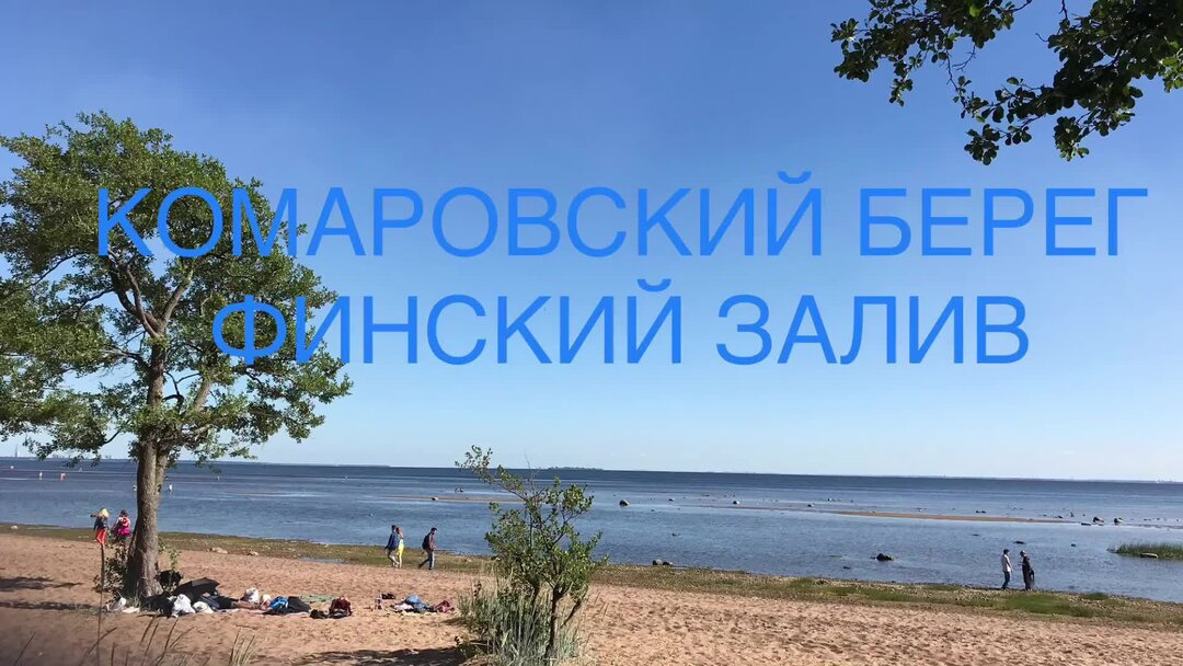 Уикенд в поселке Комарово с Феничевым, Гориболем и Пепперштейном: Чем заняться н