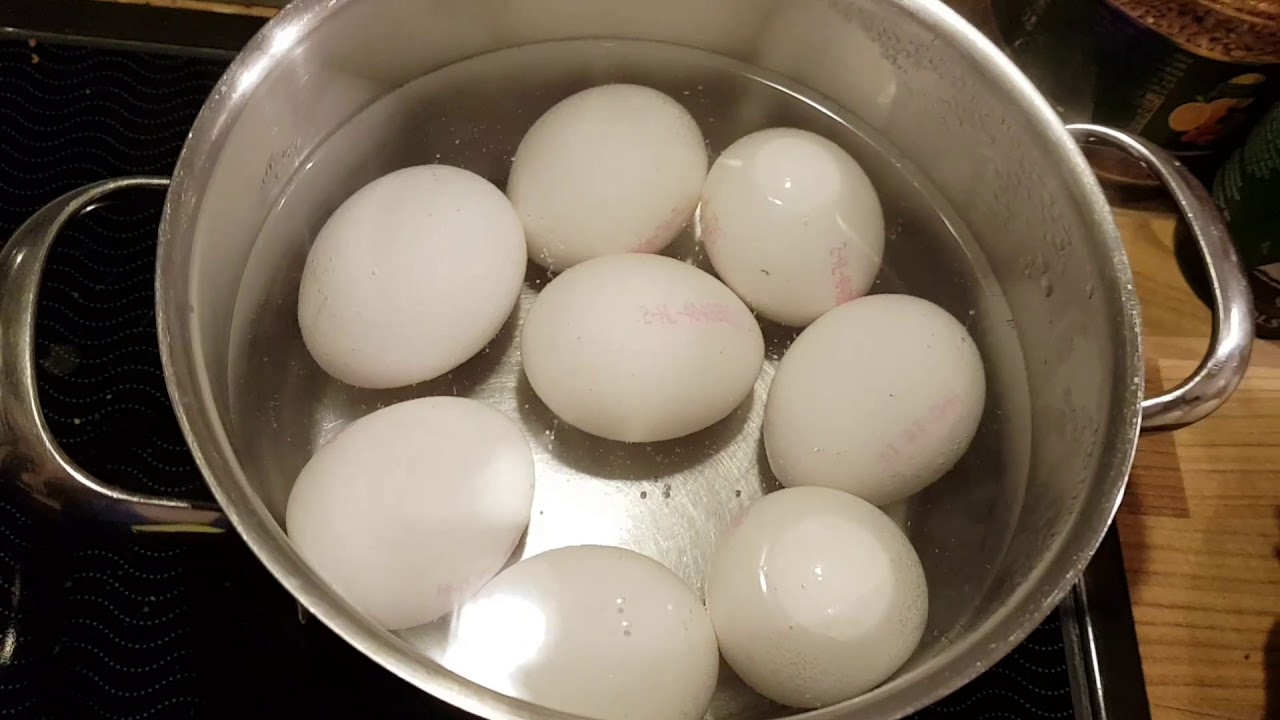 Видео вареные яички. Варка яиц. Отварить яйца. Вареные яички. Варить яйца.