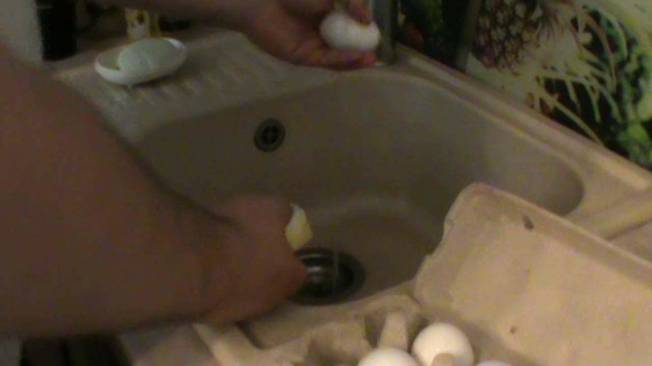 Можно ли мыть яйца перед хранением домашние. Помыть яйца белые. Мыть яйца в кулере. Как моют яйца на производстве.