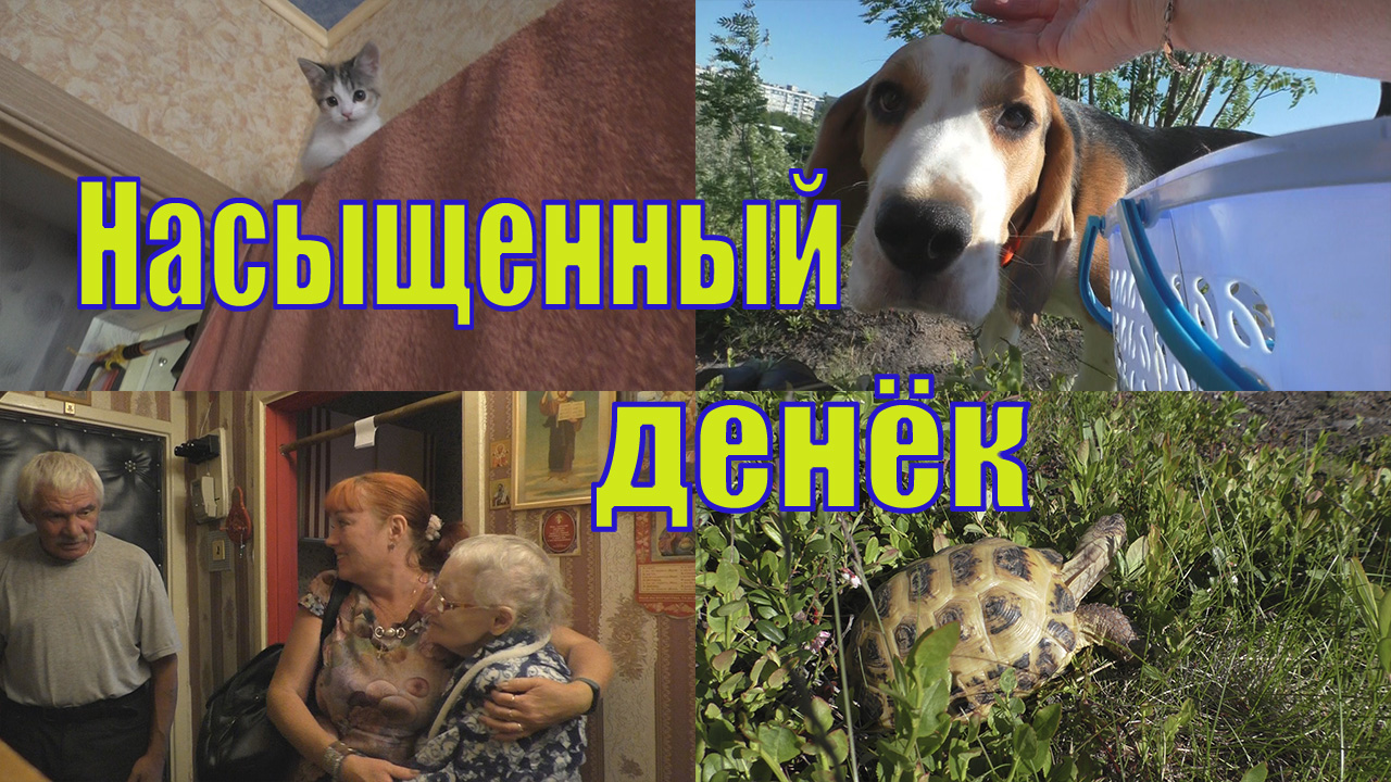 2299 от 28 12 2020 постановление правительства рф. постановление главного санитарного врача по коронавирусу. постановление 20 от 28. два федеральных закона. постановление 20 от 28.