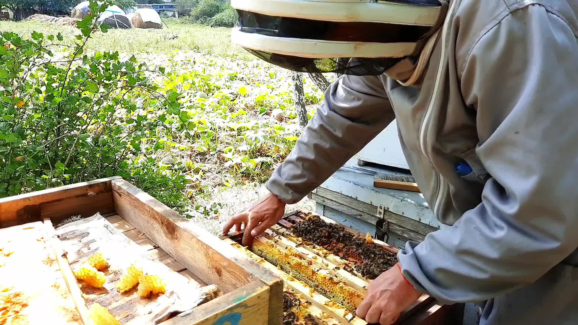 Подготовка пчел к зиме. Пчелиные ульи. Элитные пчелиные пасеки. Сборка ульев на зиму.