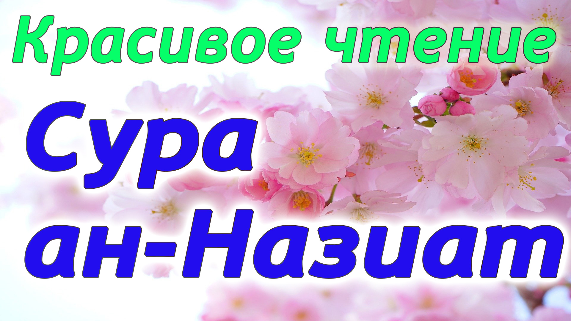 Сура 79