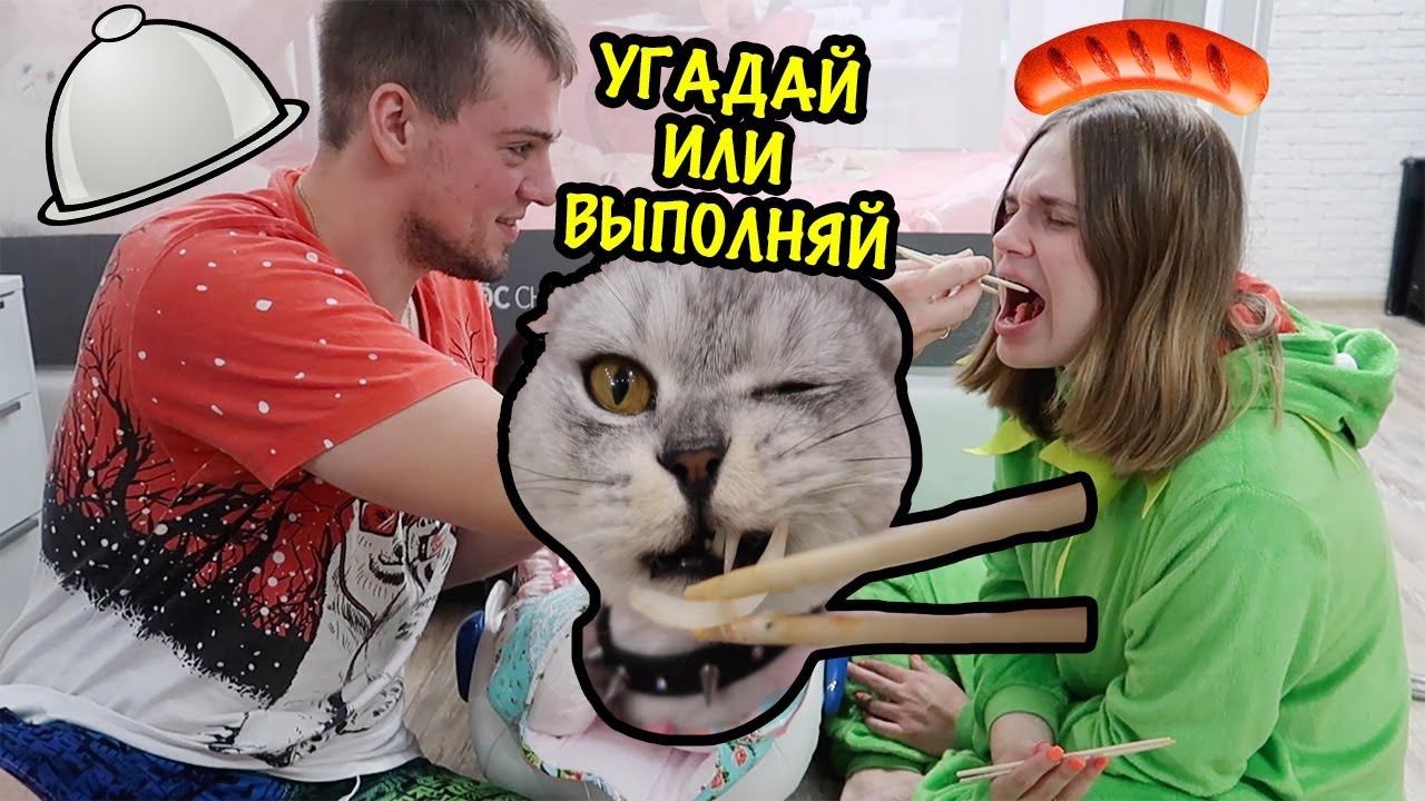 ляпота тв зверомама. зверопапа. кот сладун. ляпота тв момо. ляпота тв с котом вход разрешен.