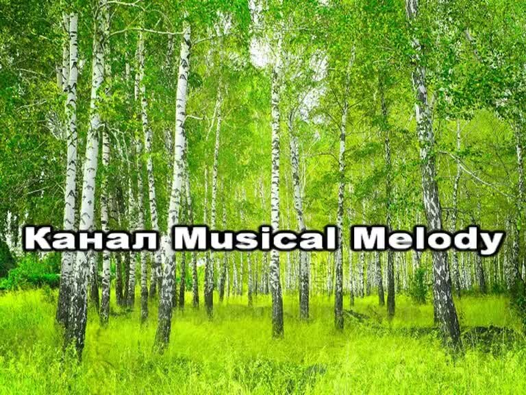 Земля в иллюминаторе караоке. Волга волга песни. Песня про зайцев караоке. Караоке трава у дома со словами. Голос высокой травы.