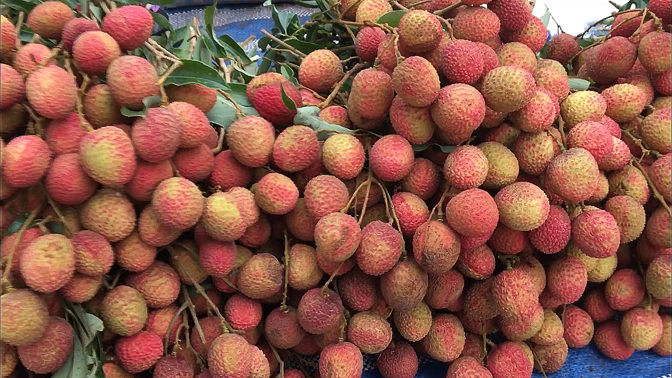 Фрукты в феврале. Салют из фруктов. Фрукты в феврале. Фестиваль фруктов в бельгии. Фрукты на пхукете.