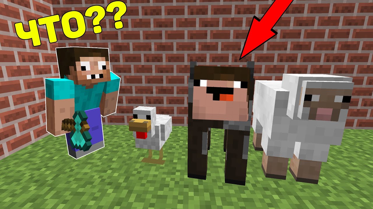 про нуба и про нашли