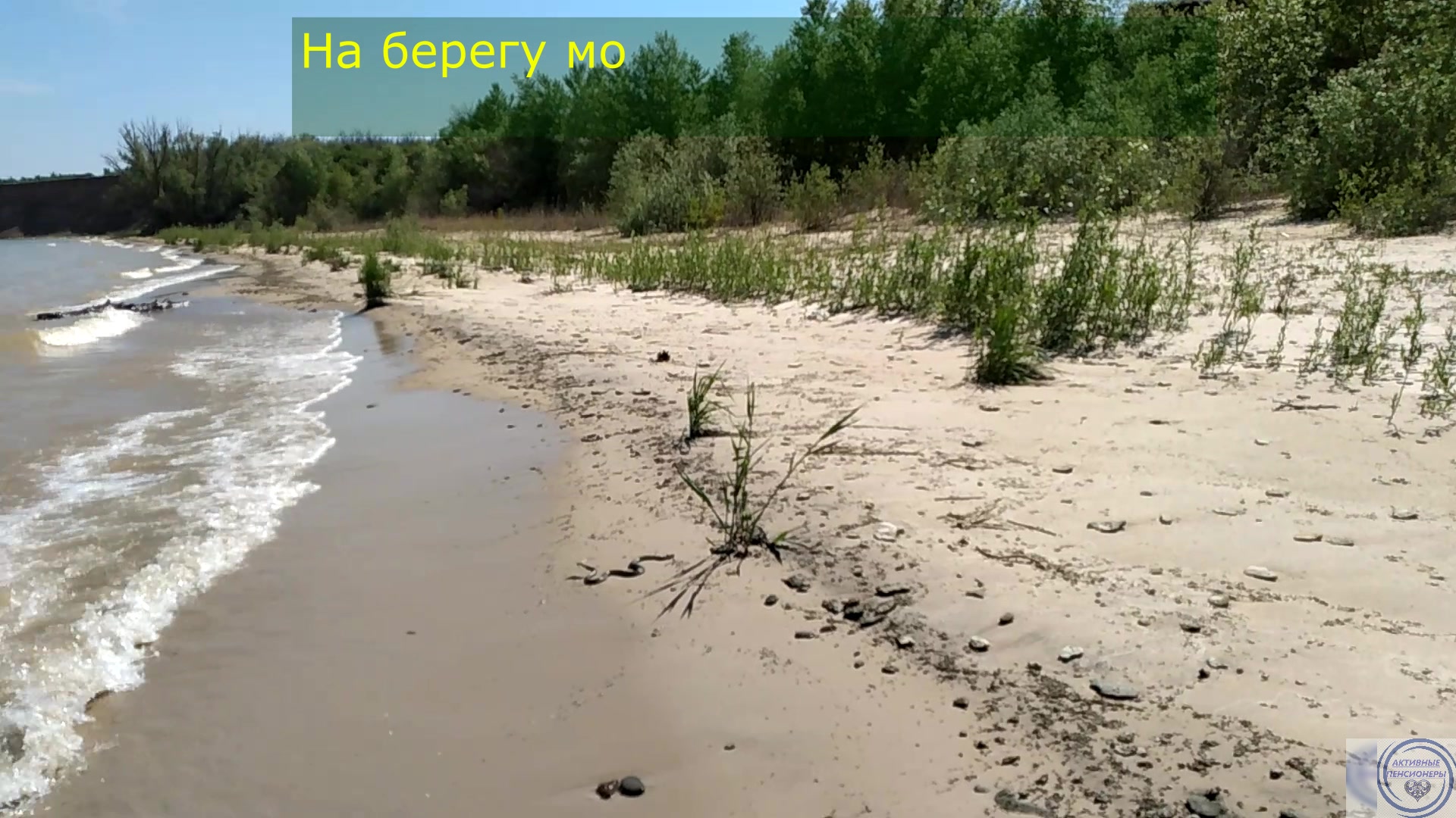 остров дурной на цимлянском водохранилище