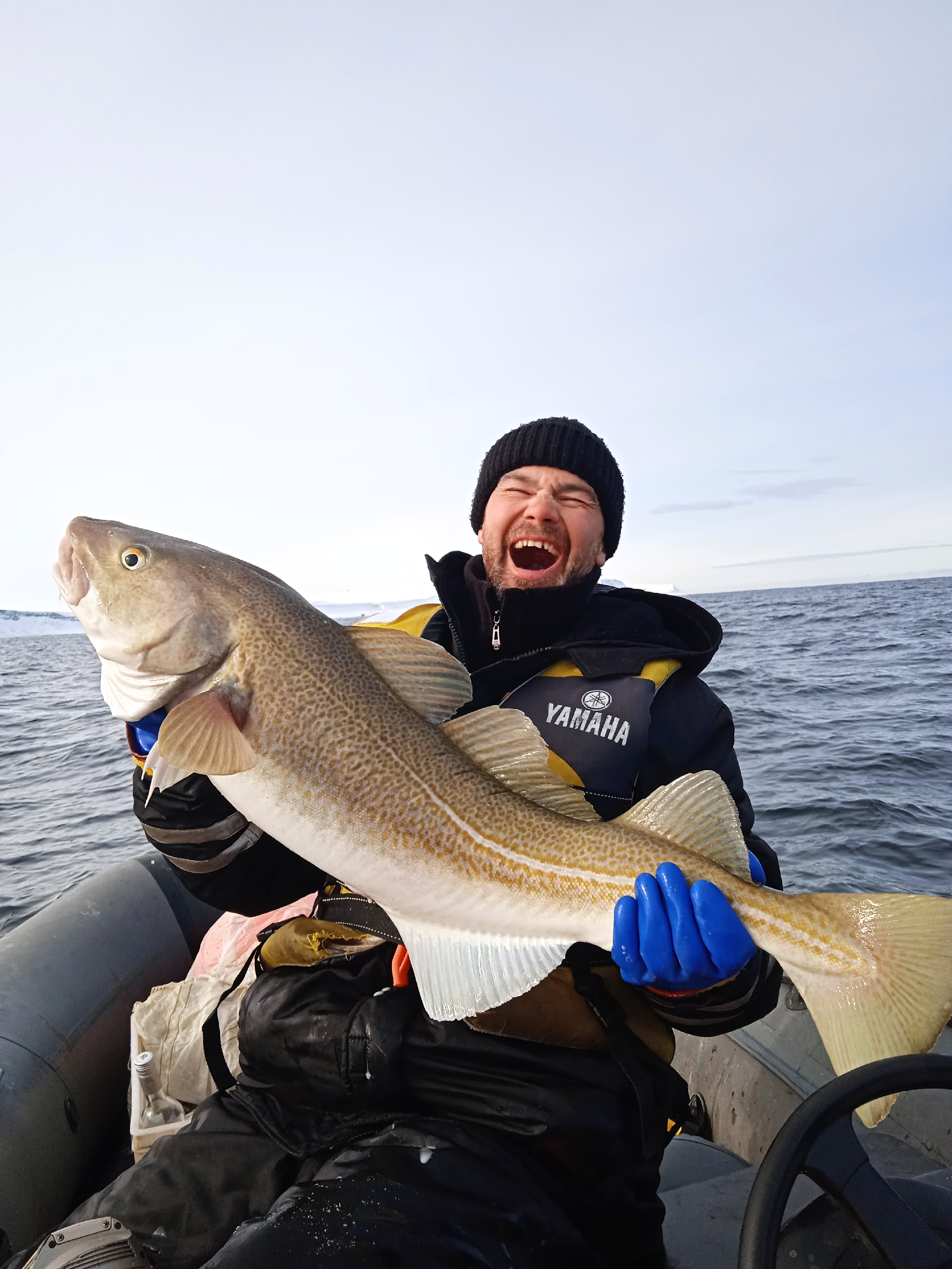 зубатка рыба баренцево море. териберка рыбалка в баренцевом море. морская рыбалка в норвегии. баренцево море. британия ловила рыбу в баренцевом море.