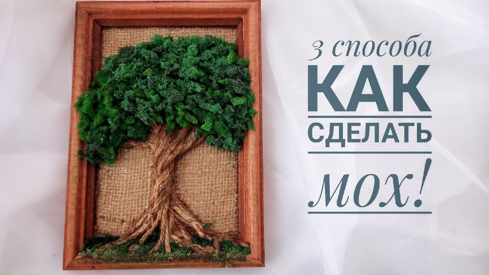 Как сделать мох своими руками. Как вырезать мох на дереве.