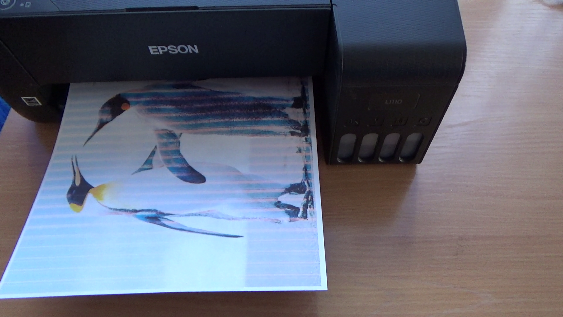 Epson печать полосами
