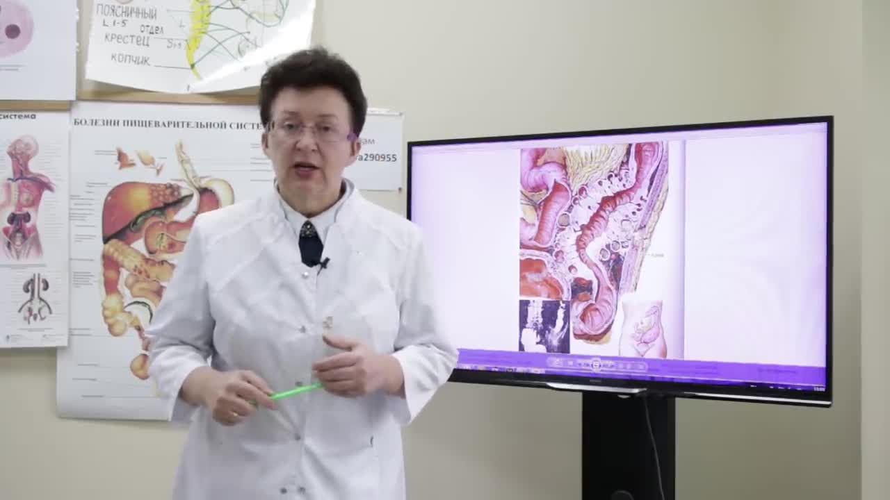 врач шишова ольга ивановна об онкологии. шишова ольга ивановна. ольга шишова врач. шишова ольга ивановна лимфатический. видео шишова доктор.