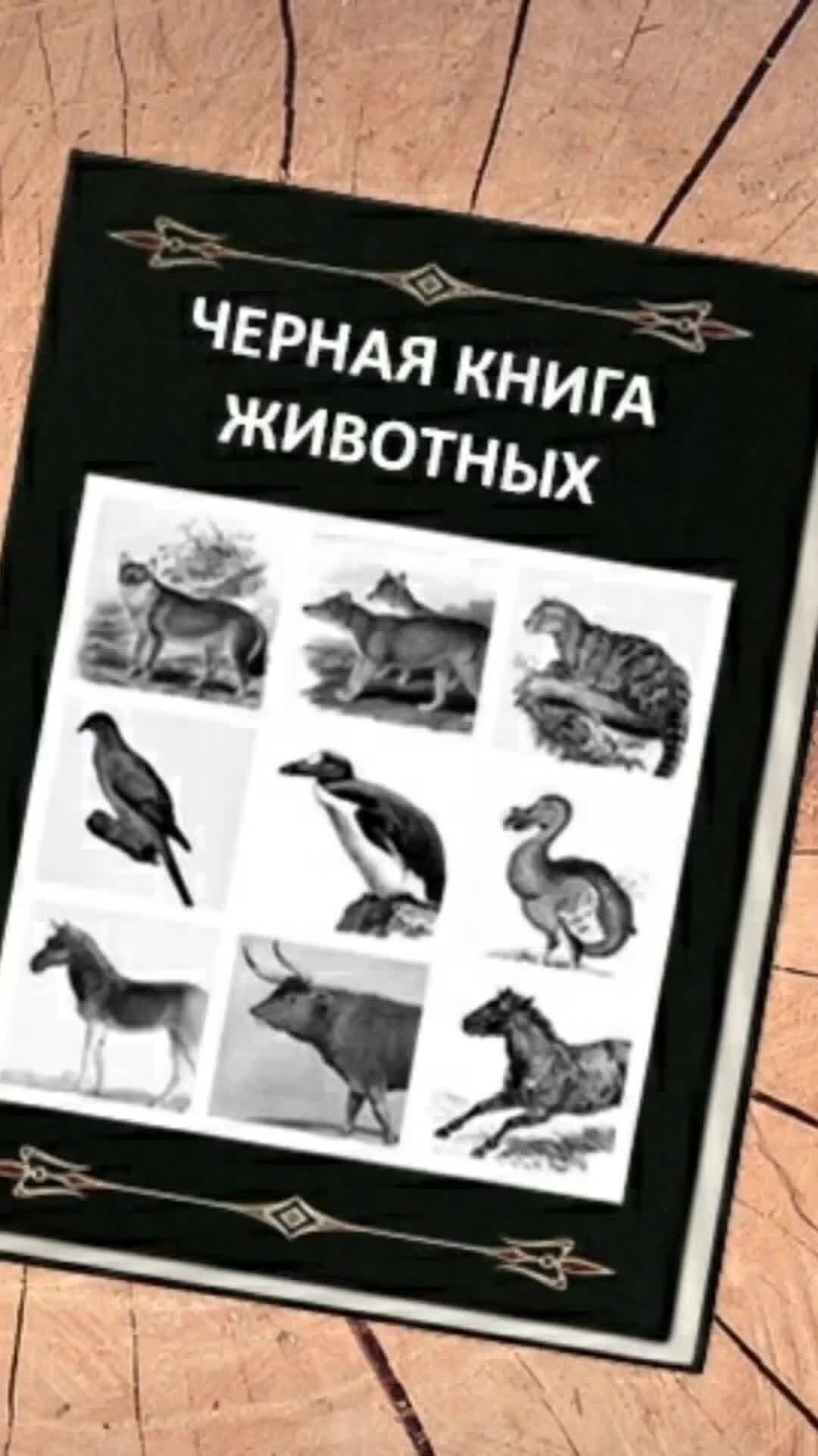 Вопрос на миллион! | Что такое чёрная книга? | Дзен