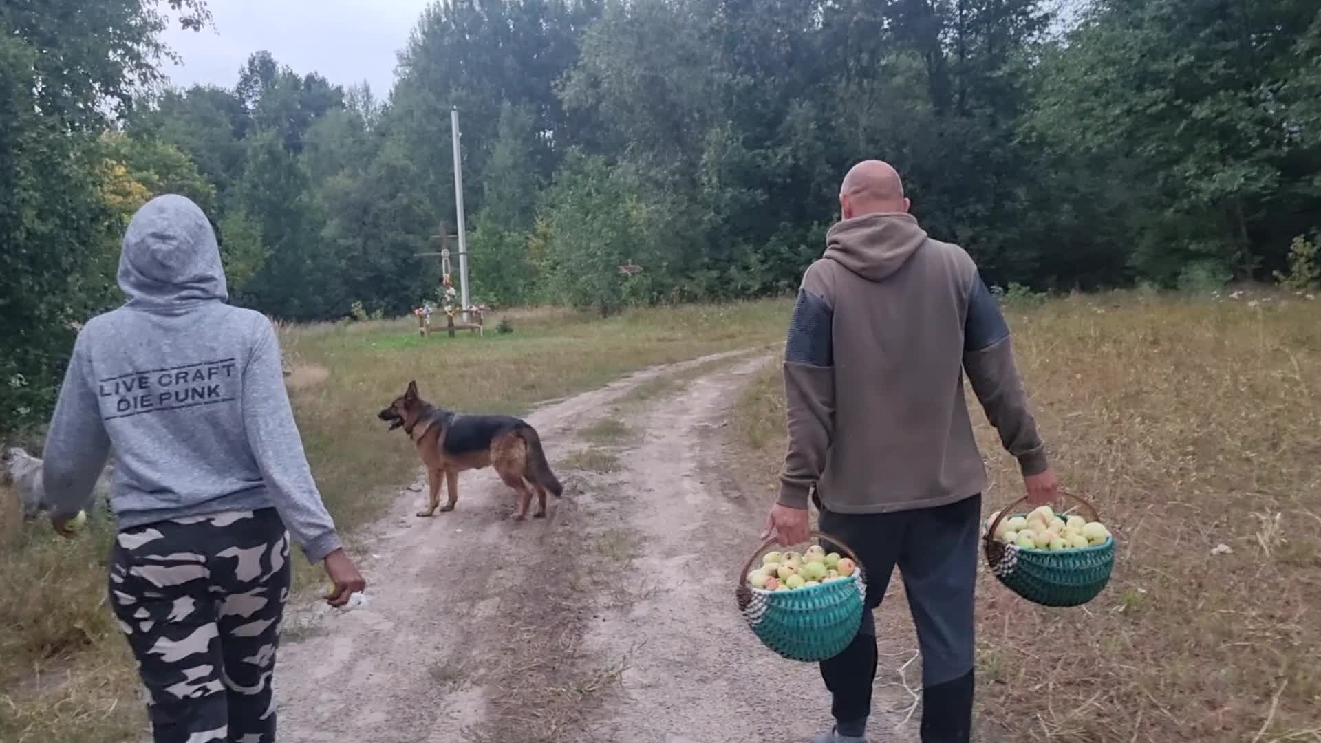 Черничный хутор последнее видео сегодня