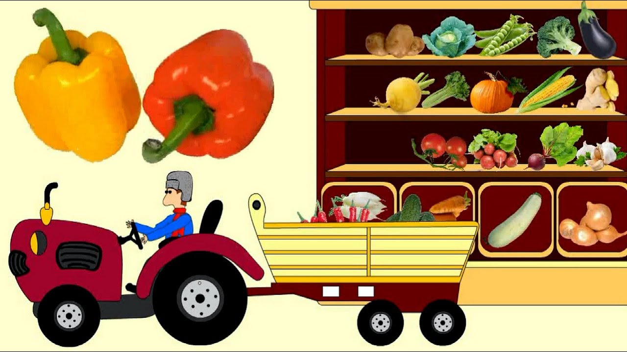 Песня тракторы овощи. Трактор с овощами. Синий трактор овощи. Синий трактор для малышей овощи. Трактор везет овощи.