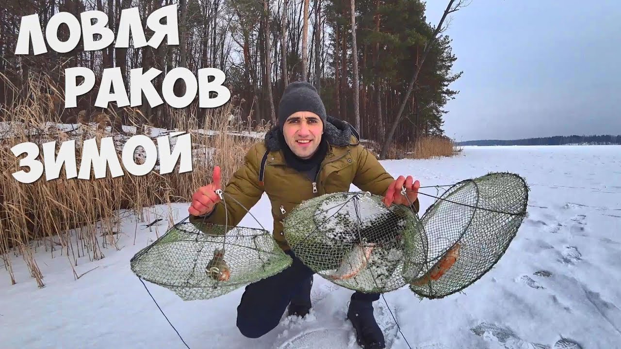 Водяное животное попала в раколовку. Ловится ли рак в апреле. Фото ракаловок из магазина. Зимняя раколовка. Конома кого можно поймать.