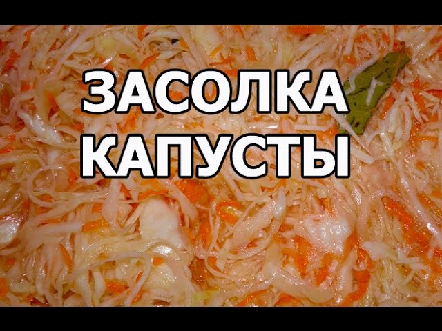 Солить капусту в декабре. Лазерсон квашение капусты. Квашеная капуста по Лазерсону. Лазерсон посолить капусту на зиму. Квашеная капуста от Лазерсона.