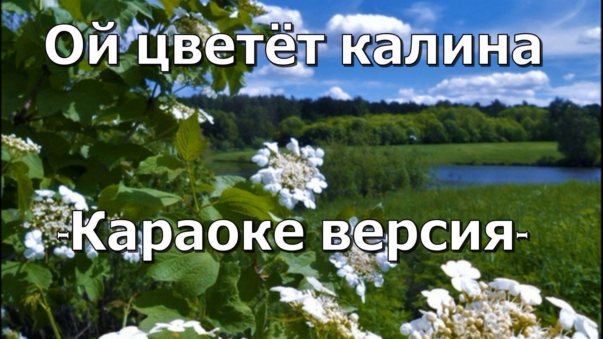 Песня цветет калина. Ой цветёт Калина караоке. Ой цветёт Калина в поле у ручья. Ой цветёт Калина в поле у ручья текст. Цветёт Калина в поле у ручья караоке.