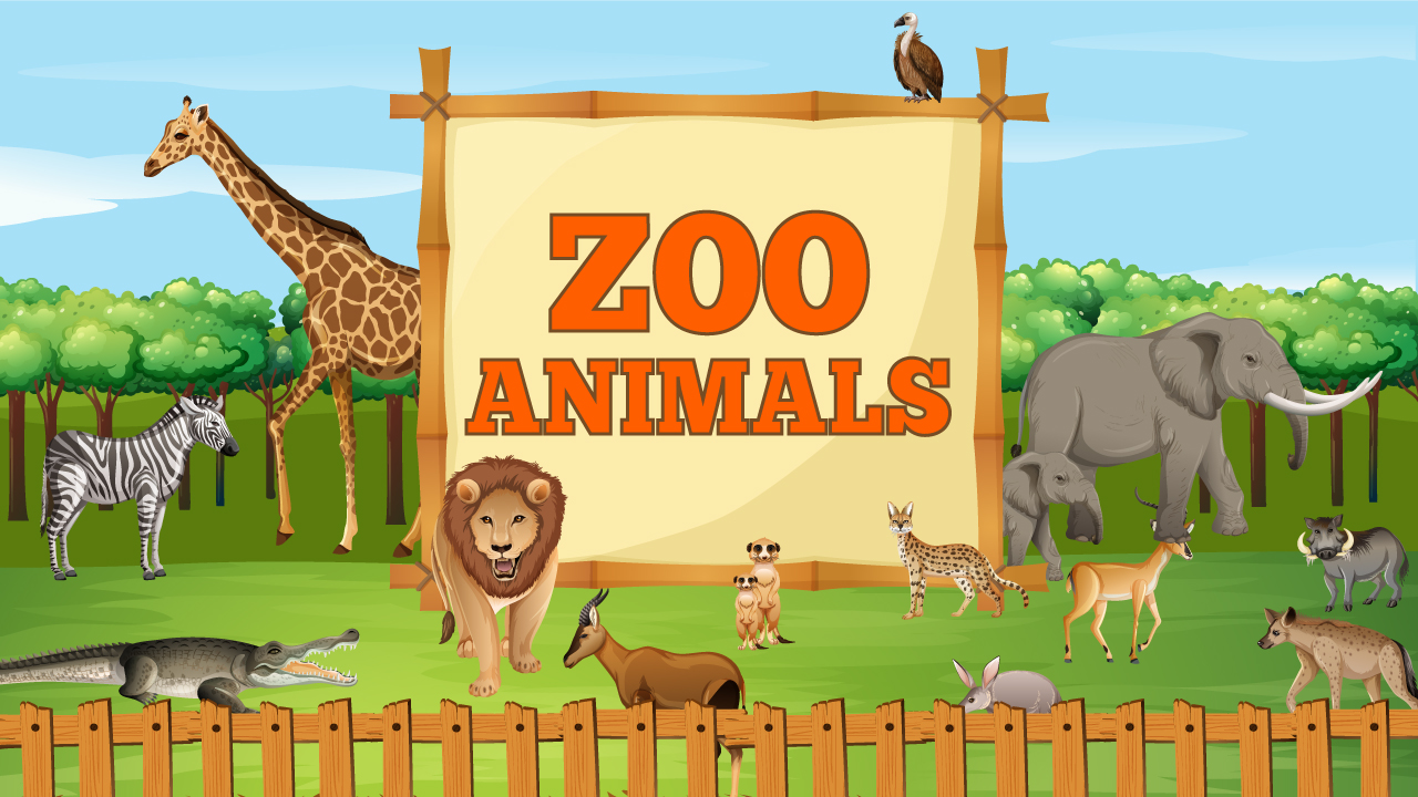 Животные зоопарка на английском. Zoo for Kids. Фон зоопарка без животных. Зоопарк на белом фоне.