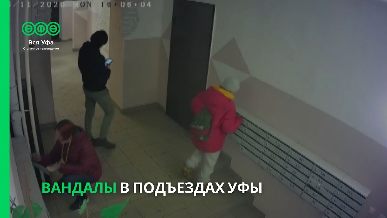 халк юмор. Noize mc устрой дестрой.