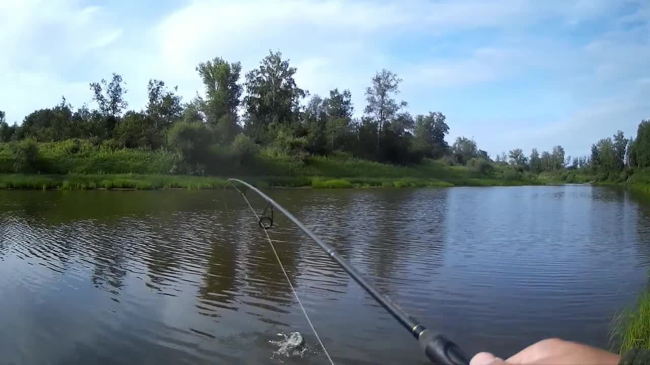 старица рыбалка. река тавда рыбалка. оз старица омская область рыбалка. старица москвы реки рыбалка зимой. река вежболовка рыбалка.