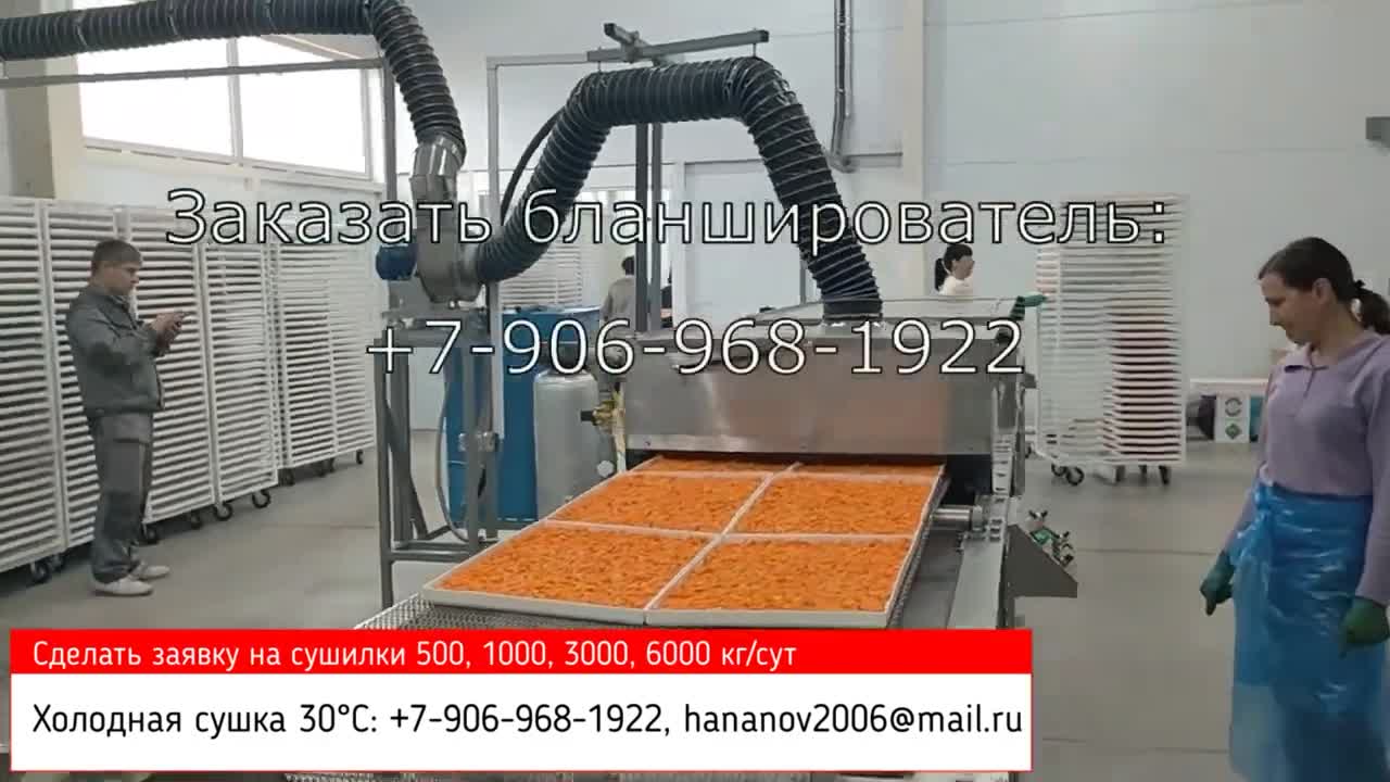 промышленность по переработке фруктов и овощей. завод "белая дача трейдинг" котельники. оборудование для переработка плодоовощной продукции. технология производства овощных. технология производства овощных.