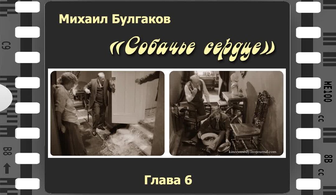 Собачье сердце обложка книги. Булгаков собачье сердце 1925. 6 глава собачье сердце. 6 глава собачье сердце. Главы собачье сердце.