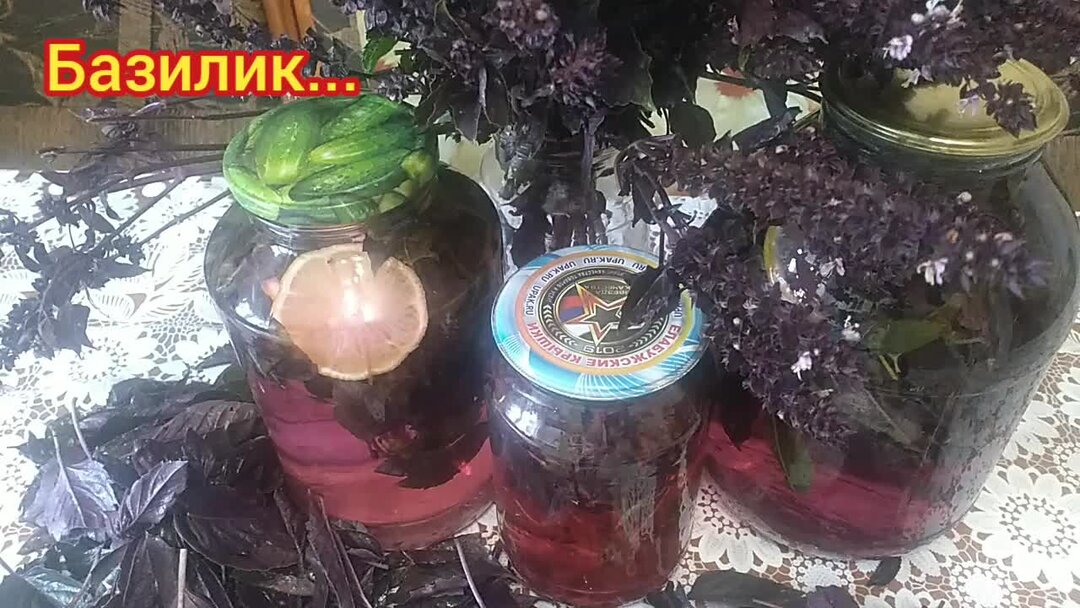 Компот из базилика и лимона 3 литровую. Компот из базилика на зиму. компот с базиликом на зиму. компот из базилика. компот с базиликом и лимоном.