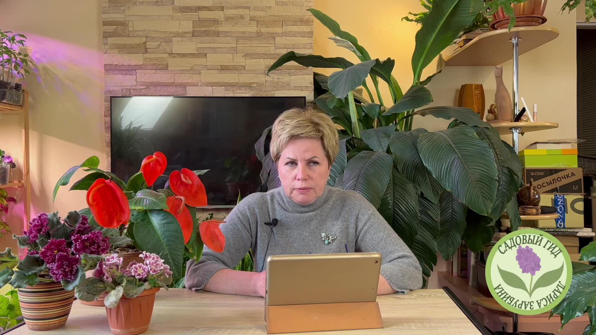 садовый гид с ларисой зарубиной последние. садовый гид с ларисой зарубиной. дачный гид лариса зарубина. лариса зарубина садовый. садовый гид с ларисой зарубиной.