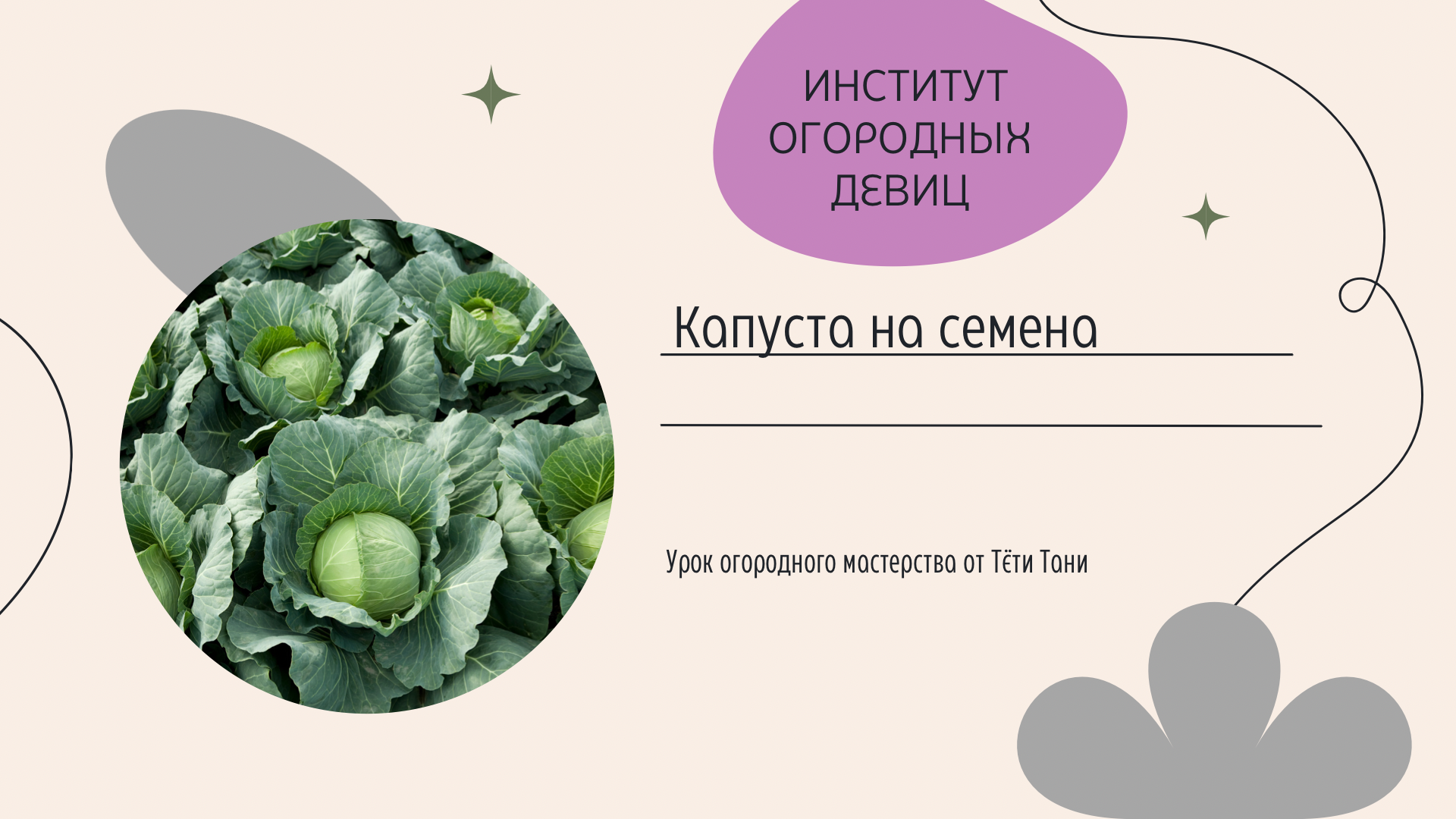 институт огородных тетя таня дзен. институт огородных тетя таня дзен. институт огородных тетя таня дзен. институт огородных девиц с тётей таней томаты на зиму. как затонировать листья из изолона.