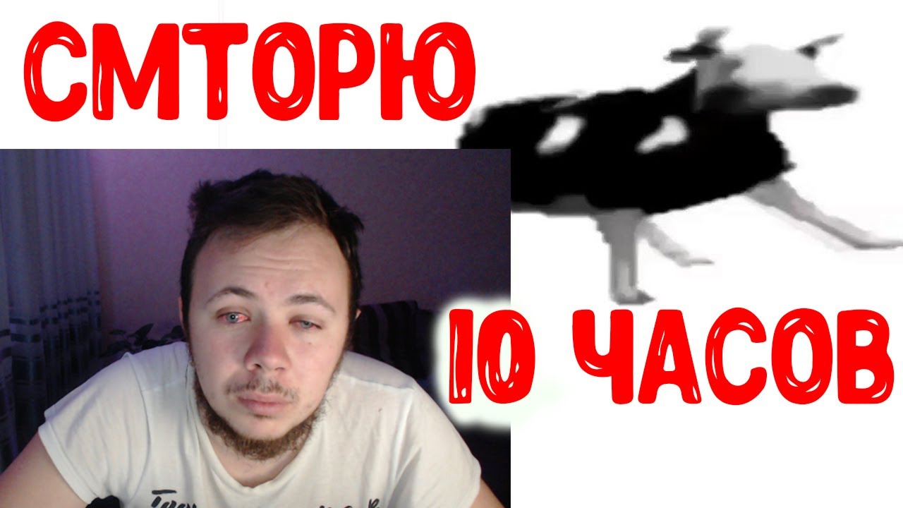 Корова танцует под польскую музыку 10 часов. Корова танцует под польскую музыку 10 часов. Корова танцует под польскую музыку. Корова танцует под польскую музыку 10 часов. Корова танцует под польскую музыку 10 часов.